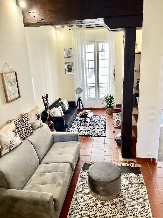 Marais Braque Appartement Parigi